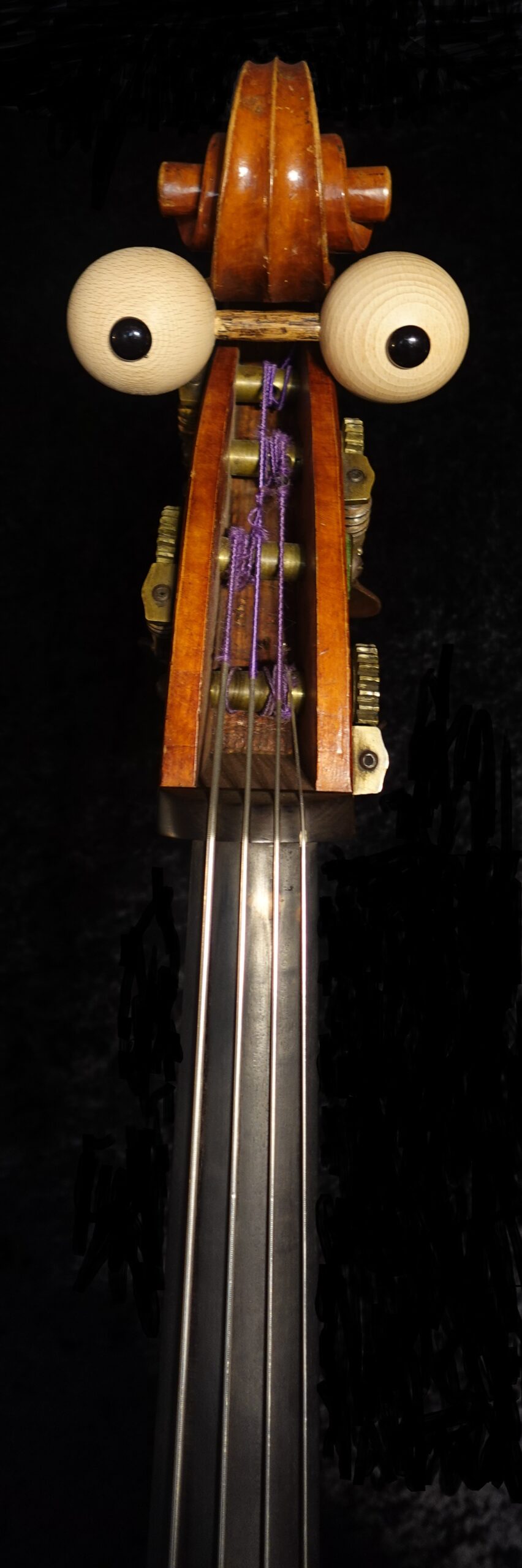 DSC00142 retouché Spectacle musical pour enfants - contrebasse