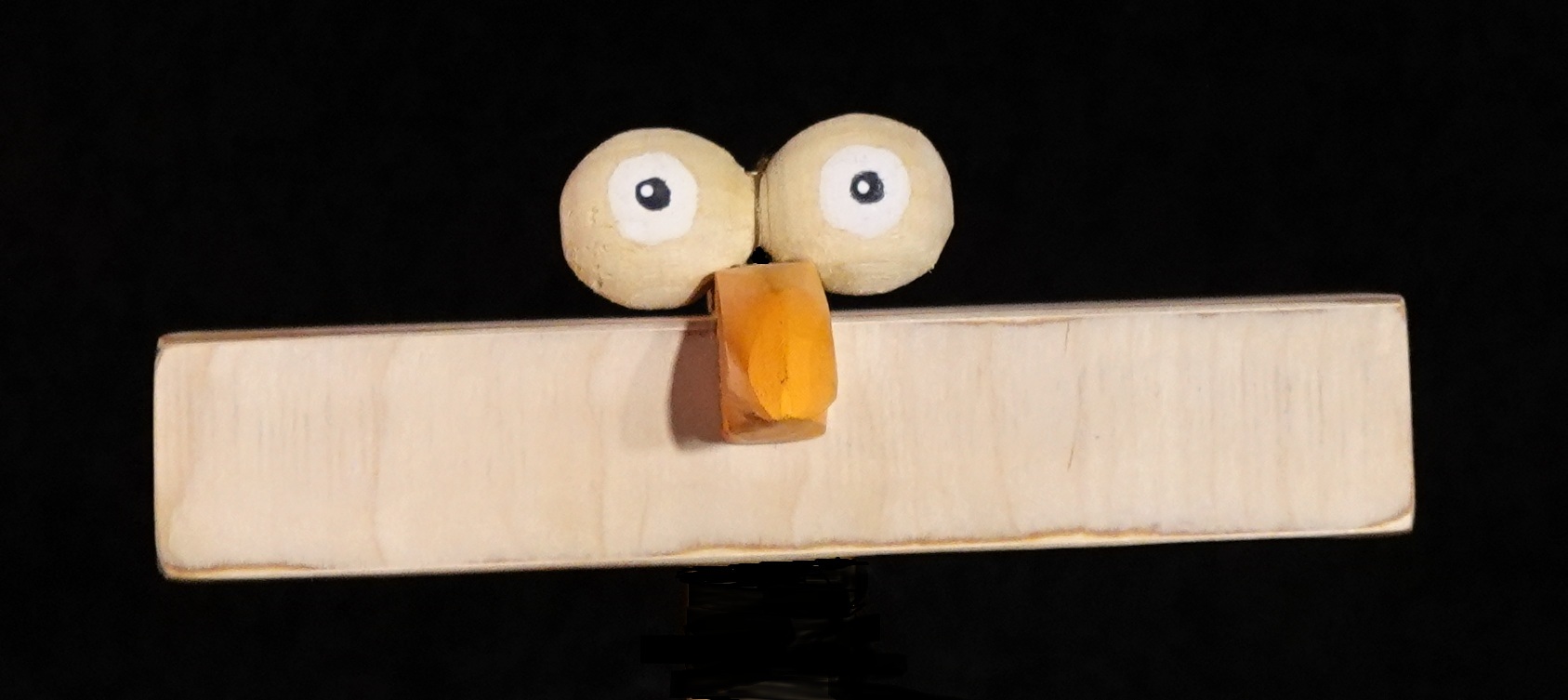 Shakeshaker Le spectacle - shaker